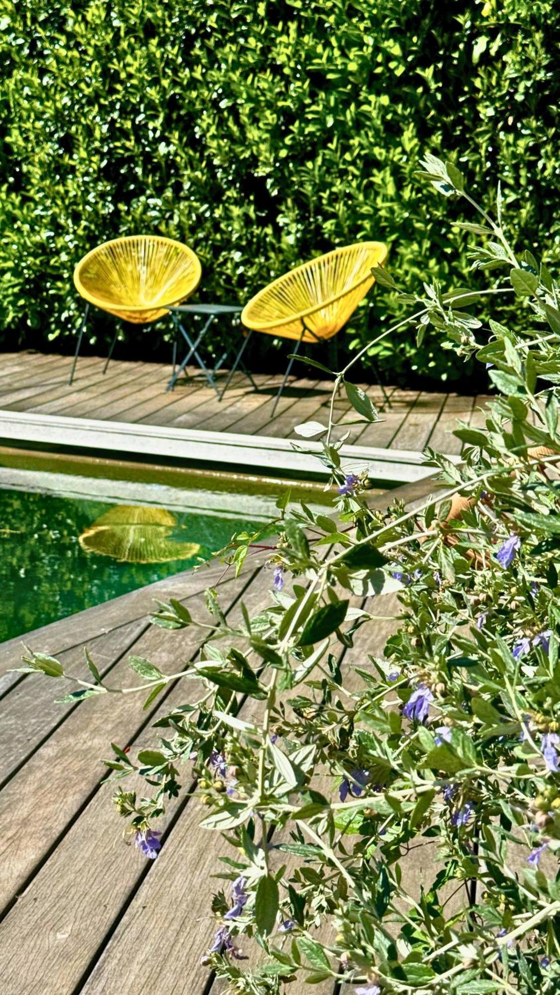 Boutique Hotel Artemisia Bastelica Exteriér fotografie